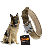 Military Nylon Dog Colla