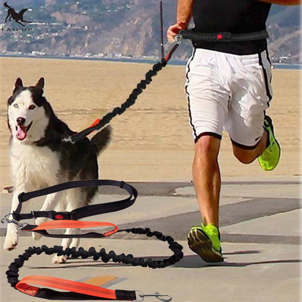 Running Elasticity Leash