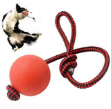 Training Ball