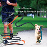 Leash  For Running